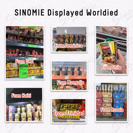 Chinesischer Fabriklieferant Halal-Vollkorn-Ramen-Cup-Instantnudeln