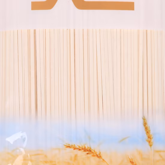 Lvshuang Instant-Nudeln, Konjak-Nudeln, gesunde Ernährung/Nudeln zur Gewichtsreduktion, Shirataki-Udon-Buchweizen-Soba-Nudeln